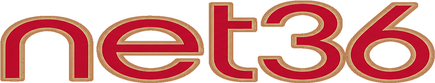 net36 logo